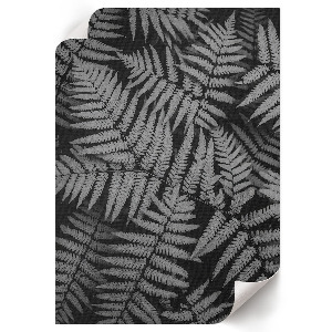 Wall print Black and white ferns