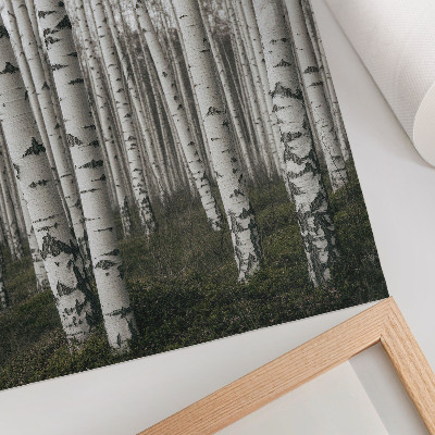 Decorative poster Birches and peace