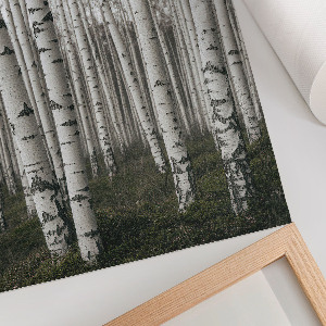 Decorative poster Birches and peace