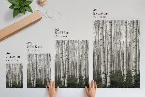 Decorative poster Birches and peace