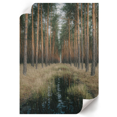 Wall print Forest symmetry