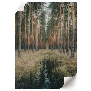 Wall print Forest symmetry