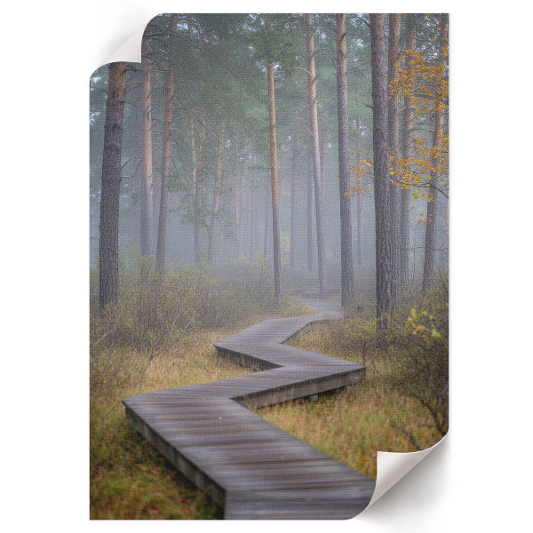 Decorative poster Forest path