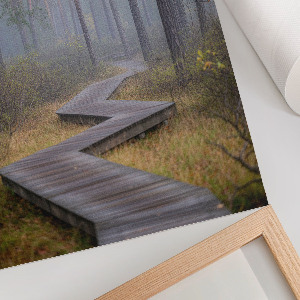 Decorative poster Forest path