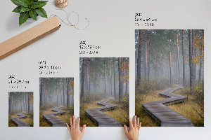 Decorative poster Forest path