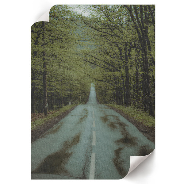 Decorative poster Forest journey