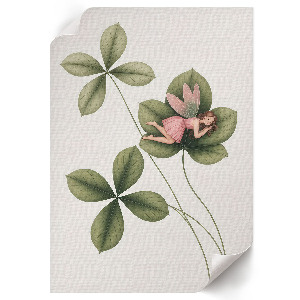 Poster Fairy on a flower