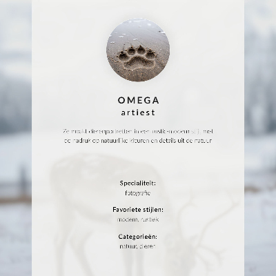 Wall art Owl at night