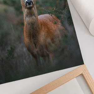 Decorative poster Deer in the forest