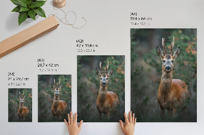 Decorative poster Deer in the forest