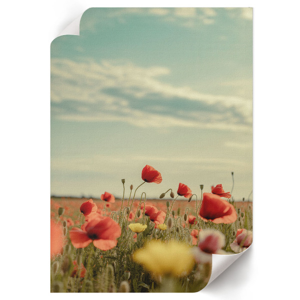 Decorative poster Summer flowers