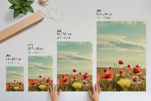 Decorative poster Summer flowers