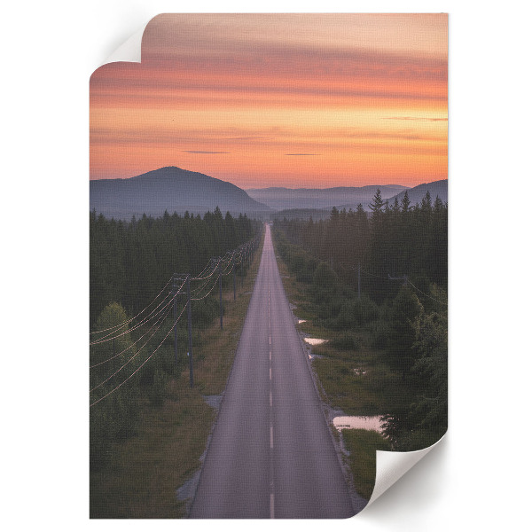 Wall art Forest road