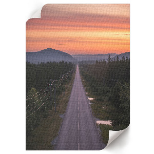 Wall art Forest road