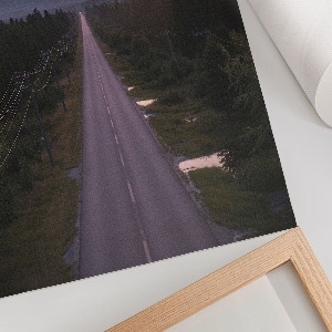 Wall art Forest road