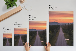 Wall art Forest road