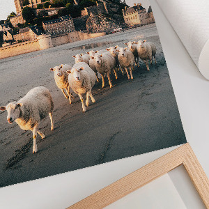 Poster featuring a sheep and a castle illustration