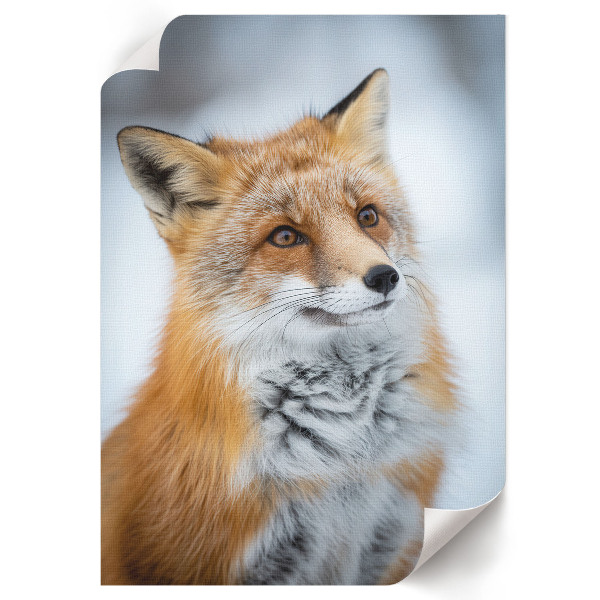 Wall art Winter fox