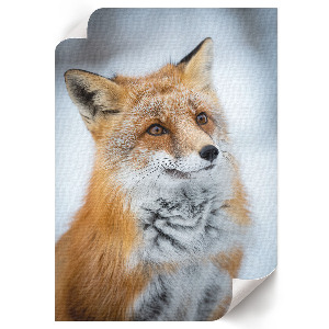 Wall art Winter fox