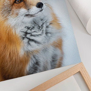 Wall art Winter fox