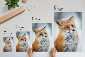 Wall art Winter fox