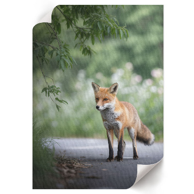 Art print Fox in nature
