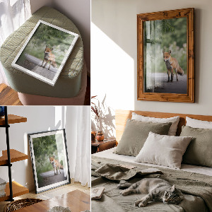 Art print Fox in nature