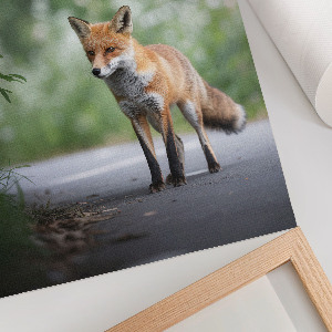 Art print Fox in nature