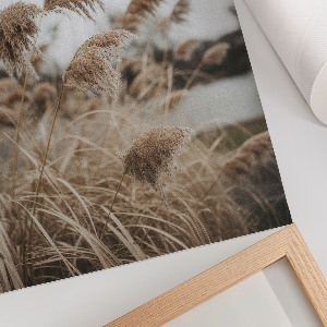 Decorative poster Peaceful grasses