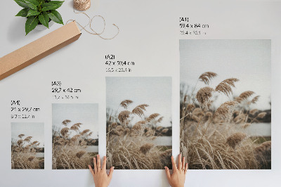 Decorative poster Peaceful grasses