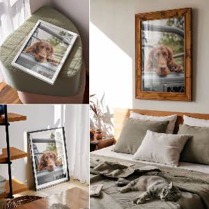 Decorative poster Dog in the car