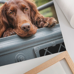Decorative poster Dog in the car