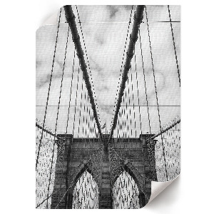 Wall art featuring a rope bridge
