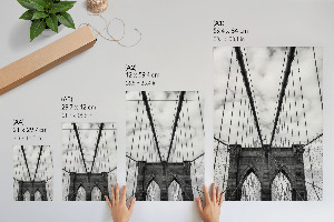 Wall art featuring a rope bridge
