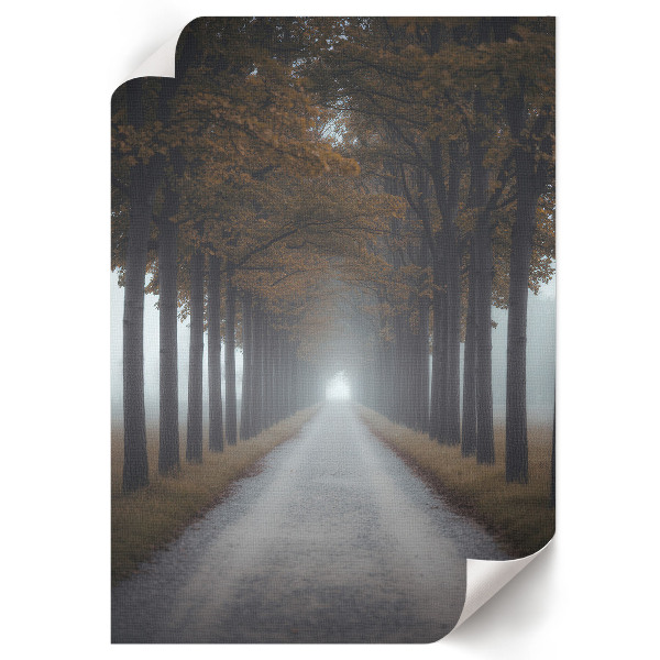 Wall print Foggy Alley