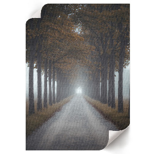 Wall print Foggy Alley