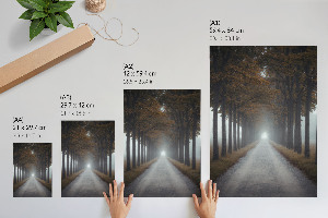 Wall print Foggy Alley