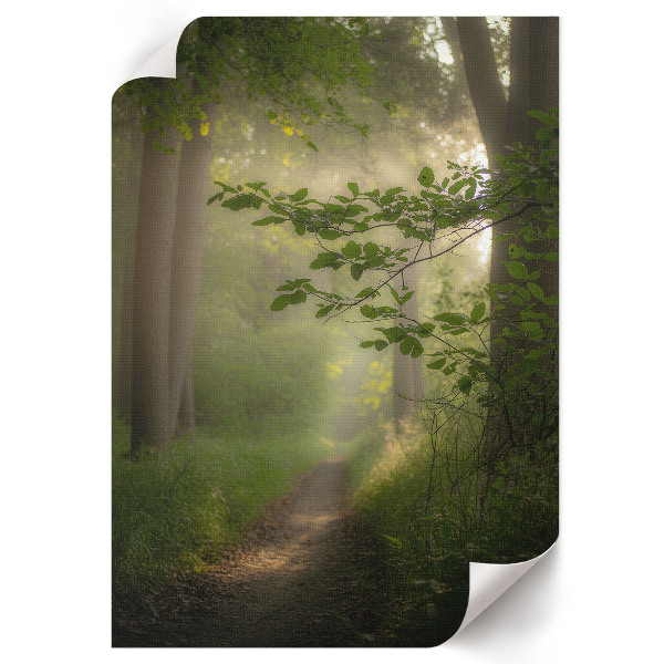 Art print titled "Forest Peace"