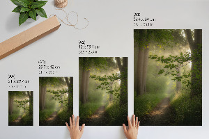 Art print Forest peace