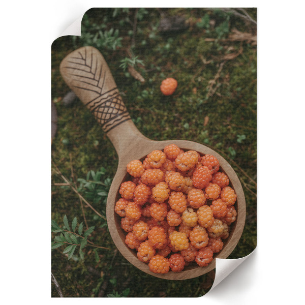 Wall print depicting forest berries