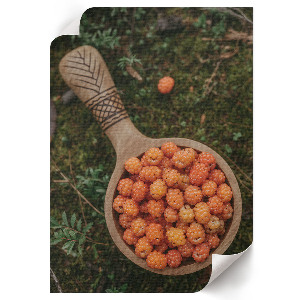 Wall print depicting forest berries