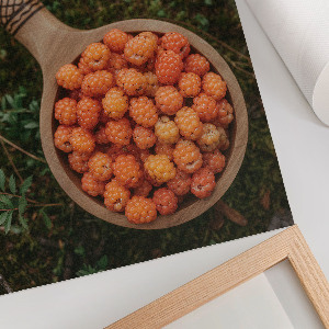 Wall print depicting forest berries