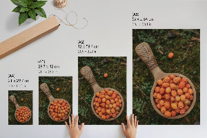Wall print depicting forest berries