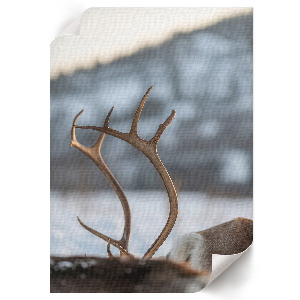 Poster with a winter reindeer motif