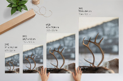 Poster Winter reindeer