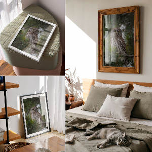 Wall print Forest owl