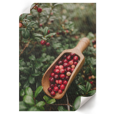 Wall print Forest fruits