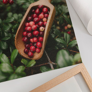 Wall print featuring forest fruits