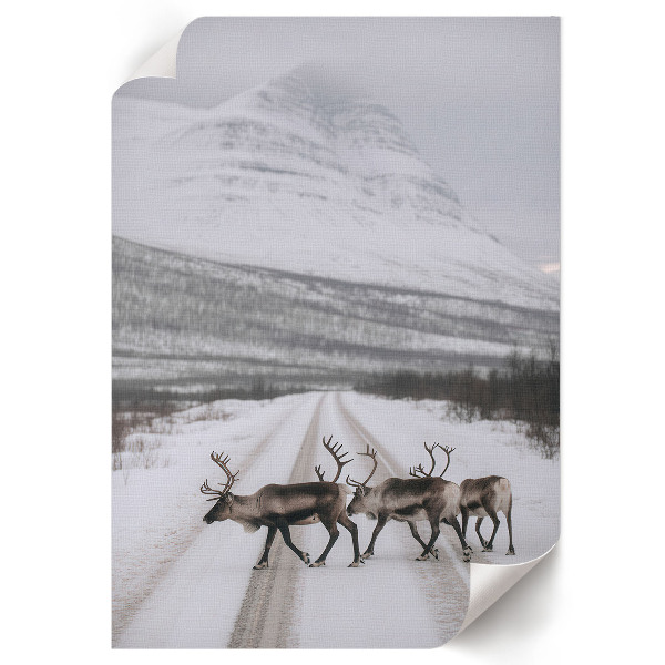 Decorative poster showing a winter landscape