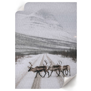 Decorative poster showing a winter landscape